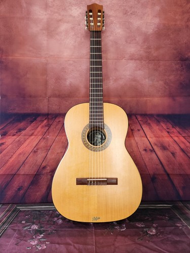 Old guitar höfner vintage - old,