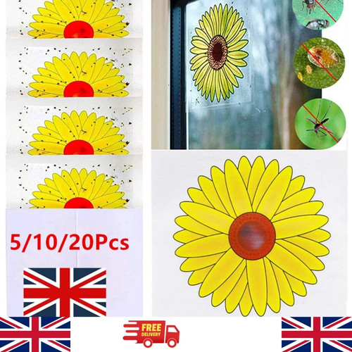 20x fly trap - window, stickers