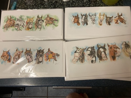 Equestrian joblot sealed - 40,