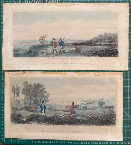 1831 antique prints - /, 2