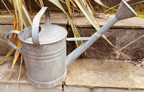 Vintage rose galvanised - vintage,