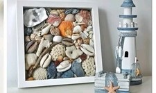 Natural Sea Shells Pack for