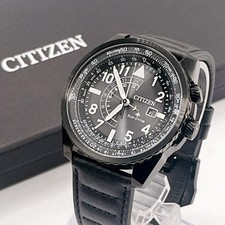 Citizen Nighthawk ProMaster