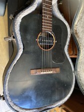 Eko Made In Italy Electro Acoustic Inc Hardcase