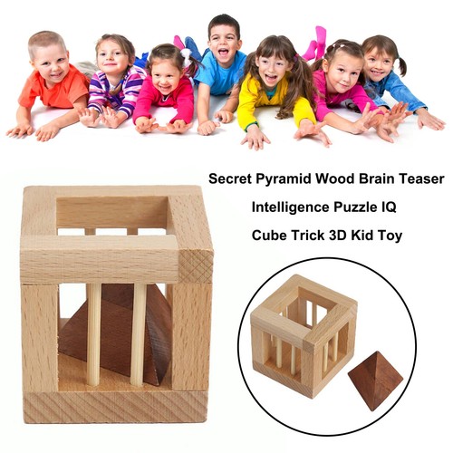 Secret pyramid wood - wood, brain