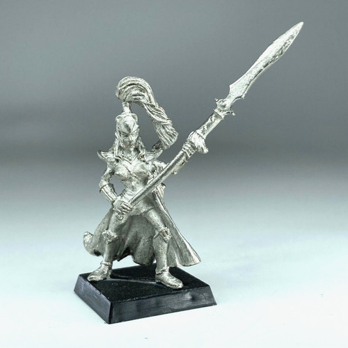 Maiden guard warrior high - maiden,