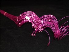 40 Half Curly Willow With