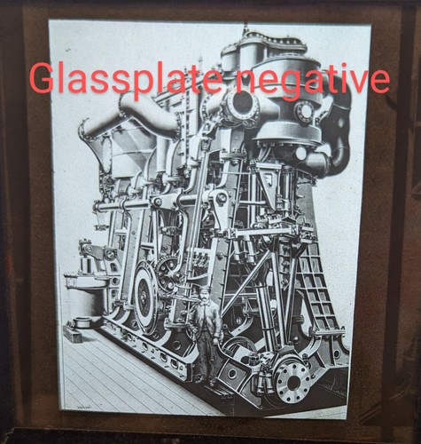 Original glass plate - glass, negative