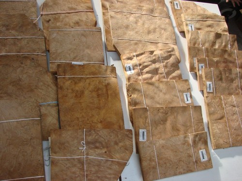 Bur chestnut veneer - chestnut,