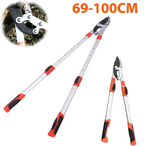 Telescopic garden tree loppers - telescopic,