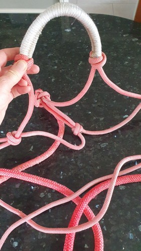 Parelli type halter and - type,