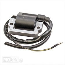 Ignition Coil 6V for Yamaha DT50/FS1