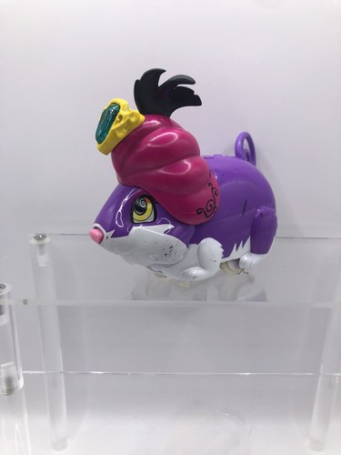 Zhu pets - zhu, amazing