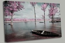 Tree Blossom Pink Sunset