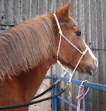 EASY-DOES-IT BITLESS BRIDLE, LOW RING SIDEPULL, PARELLI, WESTERN. 11 Colours