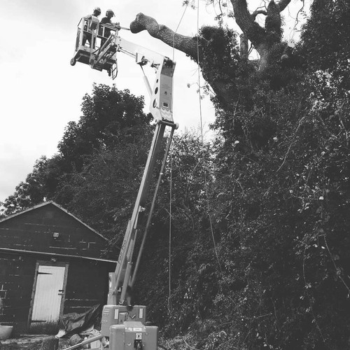 Tracked access platform - access,