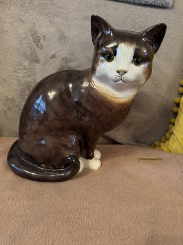 Just cats cat large - co,
