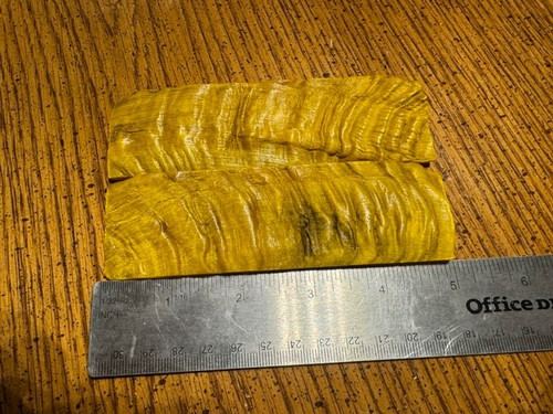 Beautiful indian rams horn - beautiful,
