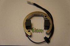 Selettra Stator for KTM