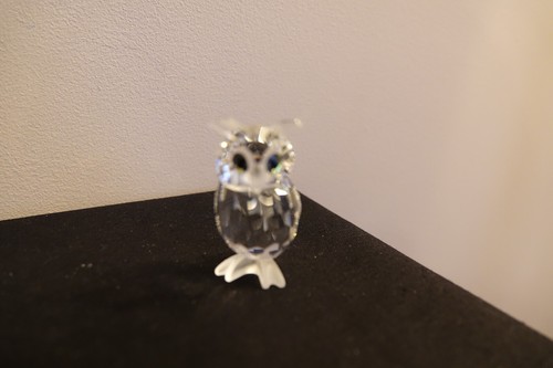 Swarovski night owl - night,