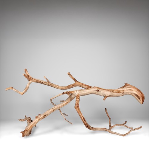Manzanita driftwood - 23.5",
