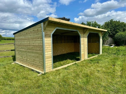 Pent timber field - x,