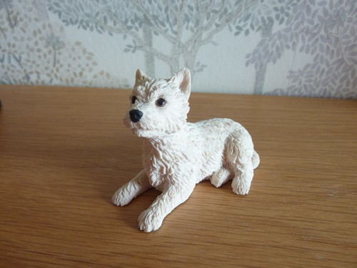 Lovely west highland terrier - west,