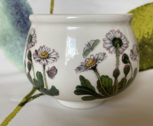 Vintage portmeirion botanic - vintage,