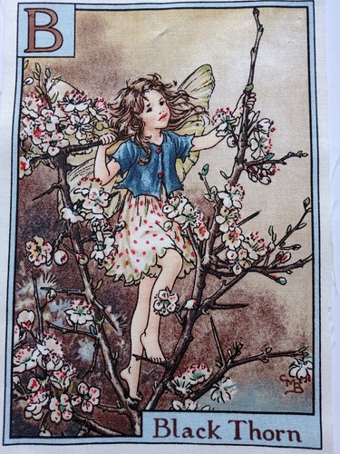 Black thorn alphabet - -,