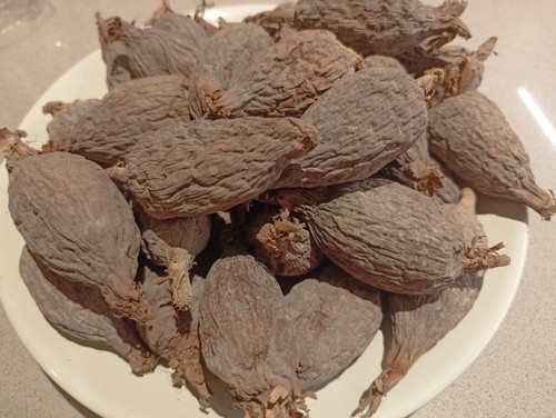 Alligator pepper x21 pods - x21,