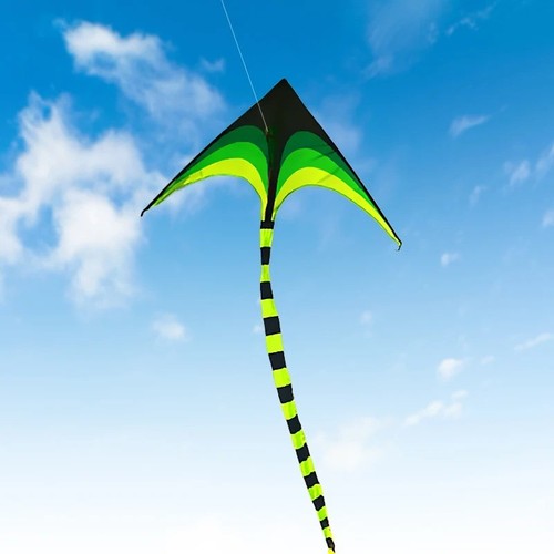 Yongjian large delta kite for - delta,
