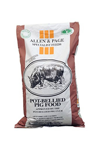 Allen page pot - &, pot-bellied