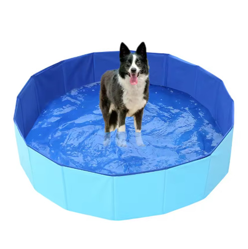Large foldable dog swimming - large,