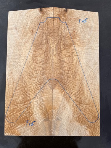 Curly sycamore maple flying - curly,