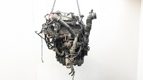 Volkswagen transporter - volkswagen,