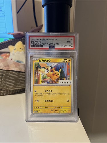 Pikachu 074 psa - 074, tanto