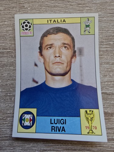 Panini world cup - panini, luigi