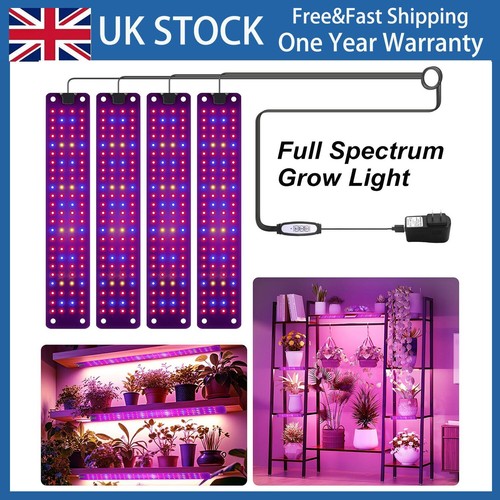 Head led plant - plant, grow