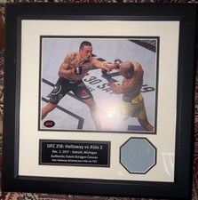UFC 218 Framed Octagon Canvas