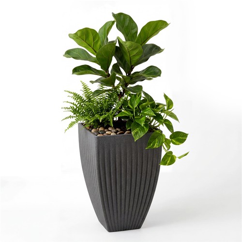 Tall square flower pot - flower,