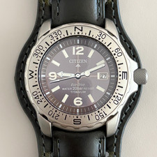 Citizen Promaster Titanium