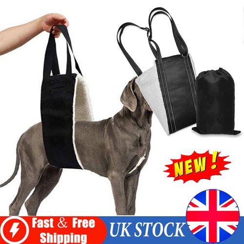 Pets dog mobility aids - pets,