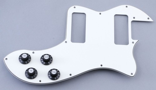 Pickguard equipped fender - pickguard,