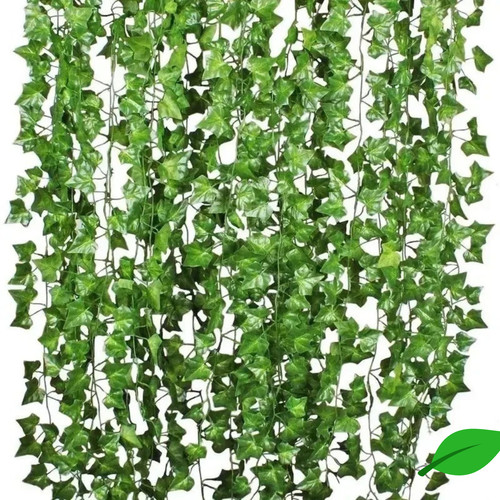 Pack feet fake ivy - pack,