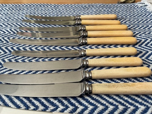 Dinner knives andfaux bone - dinner,