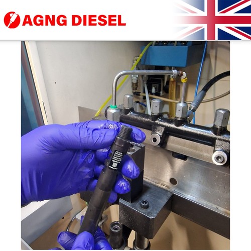 Delphi fuel injector - delphi,