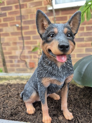 Blue heeler dog ornament - heeler,