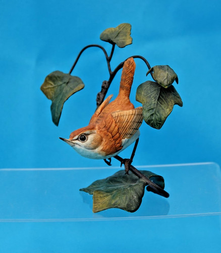 Wren ivy border fine - fine, arts