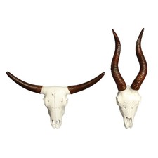 Long Horn Bulls Head Unique