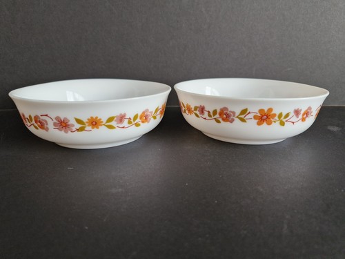 Vintage 1970 arcopal - vintage,